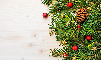 Pine or Fir? Christmas Tree Trivia from Flowers and Greens