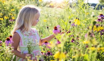 Flowers and Pandemic: How Flowers and Greens at Home can Help Us Heal Emotionally