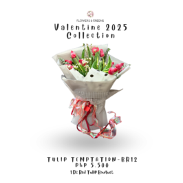 Tulip Temptation – Br 12