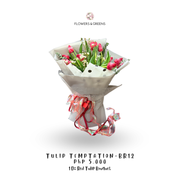 Tulip Temptation Br 12